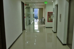 HALL-1